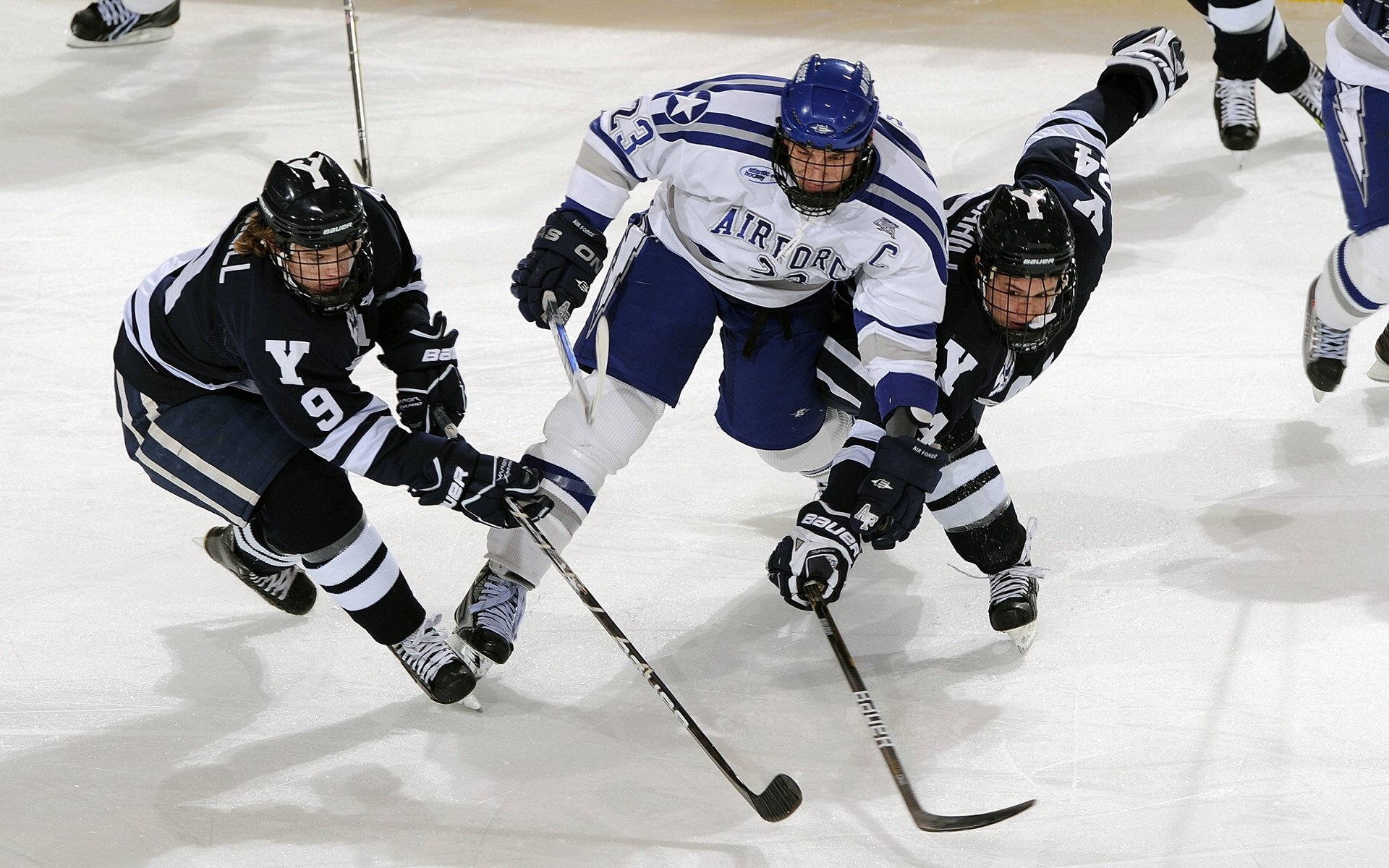传奇教练回归执教老东家